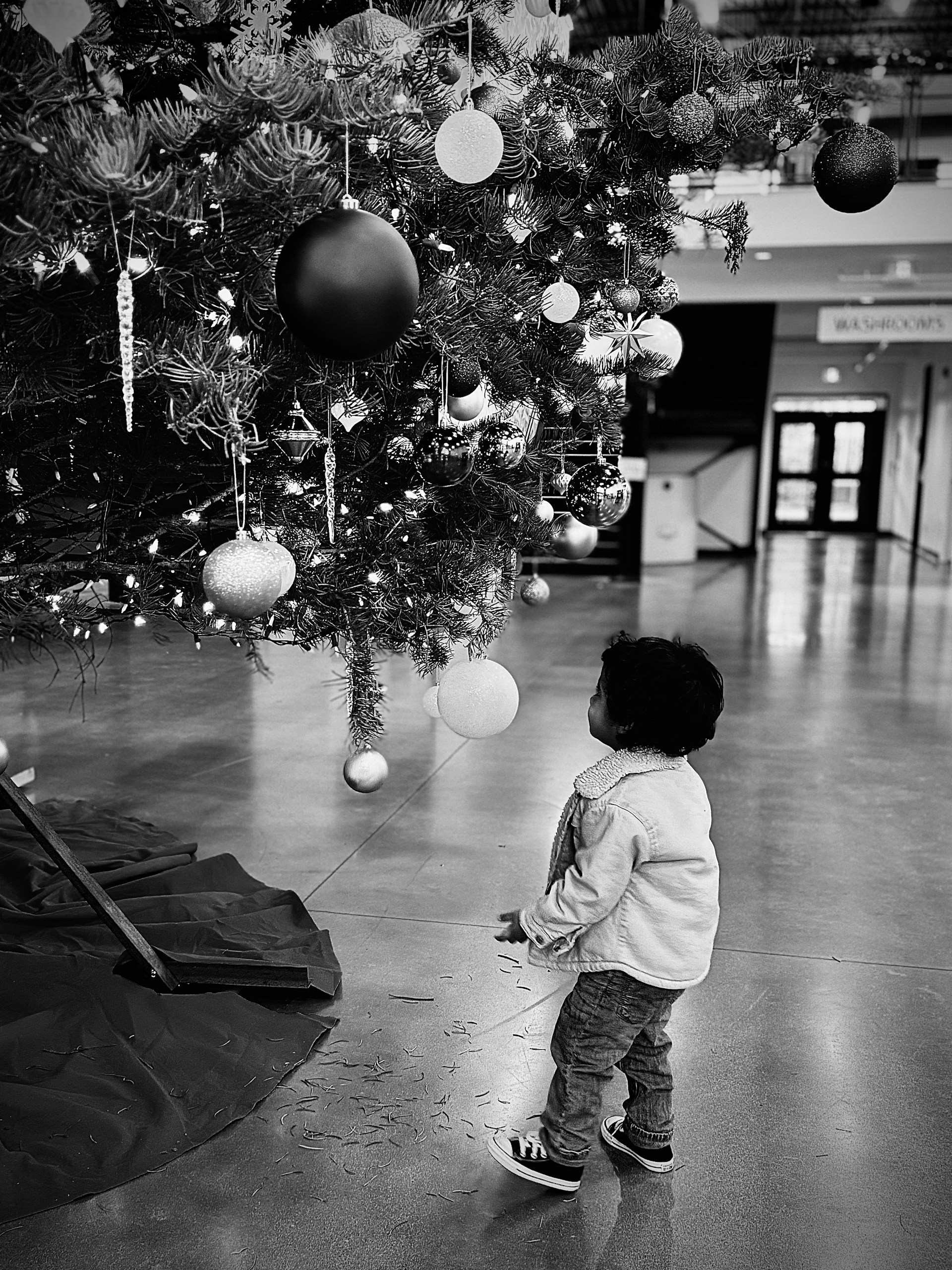 Little boy looking at a Christmas tree